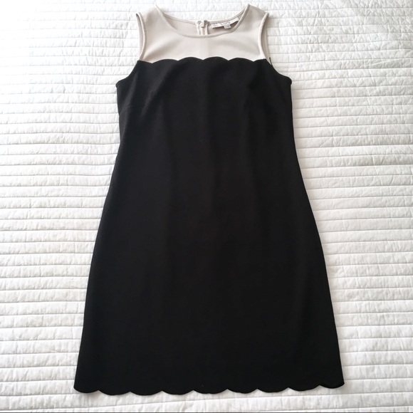 Loft Shift Dress Sz 2 -Black cream, scallop detail - Picture 3 of 8